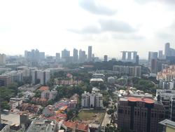 The Suites At Central (D9), Condominium #115890482